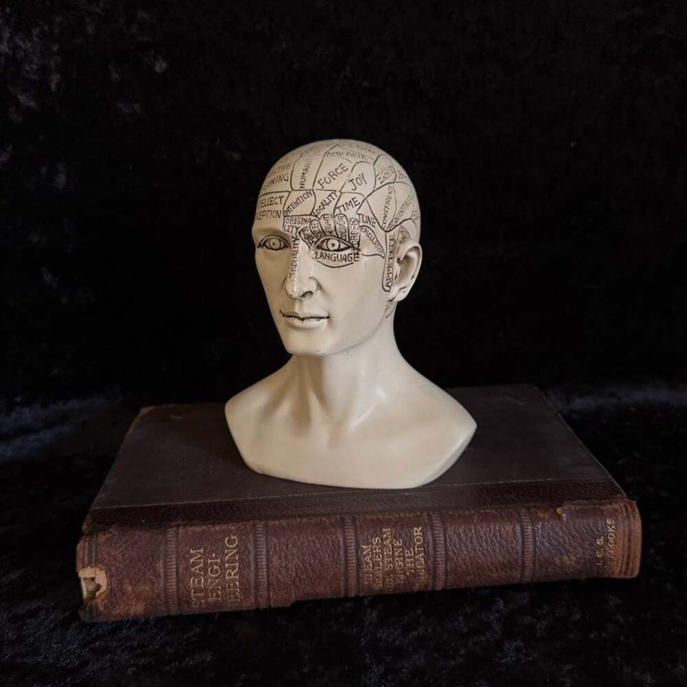 Phrenology Bust | Vintage Style Resin Statue | 19th Century Pseudoscience